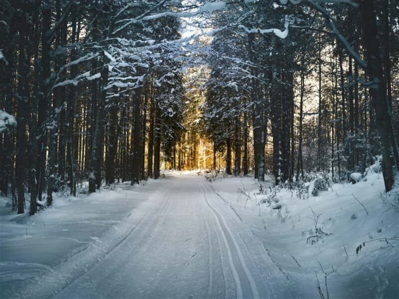 Stockholm: Introduction to Cross Country Skiing - The Experience: What To Expect