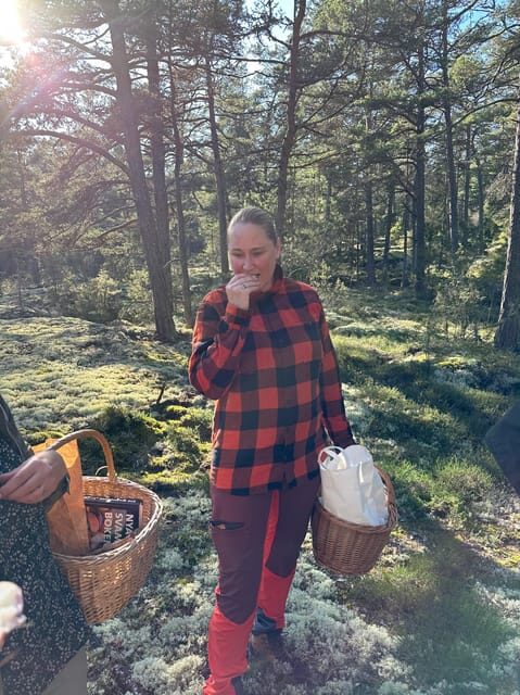 Stockholm, Mushroom and Wild Plant Foraging Tour with expert - What the Experience Is All About