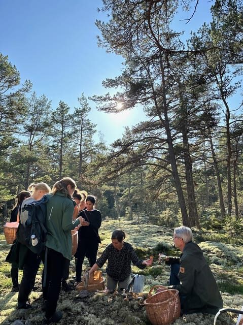 Stockholm, Mushroom and Wild Plant Foraging Tour with expert - Final Thoughts