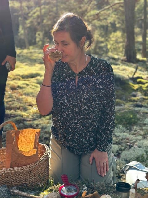 Stockholm, Mushroom and Wild Plant Foraging Tour with expert - FAQs