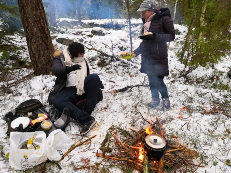 Stockholm: Nature Hike with Campfire Lunch - A Deep Dive into the Experience
