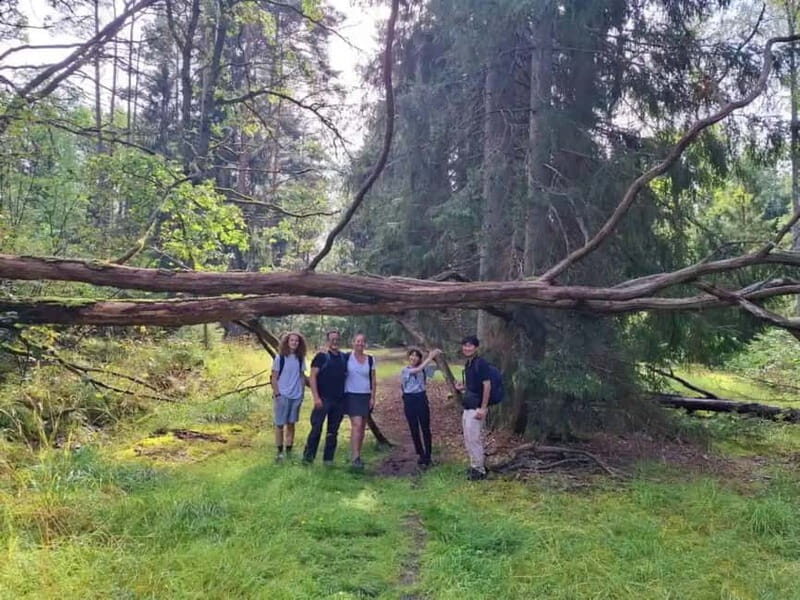 Stockholm: Nature Reserve Hiking Tour with Campfire Lunch - The Sum Up: Who Will Get the Most Out of This Tour?