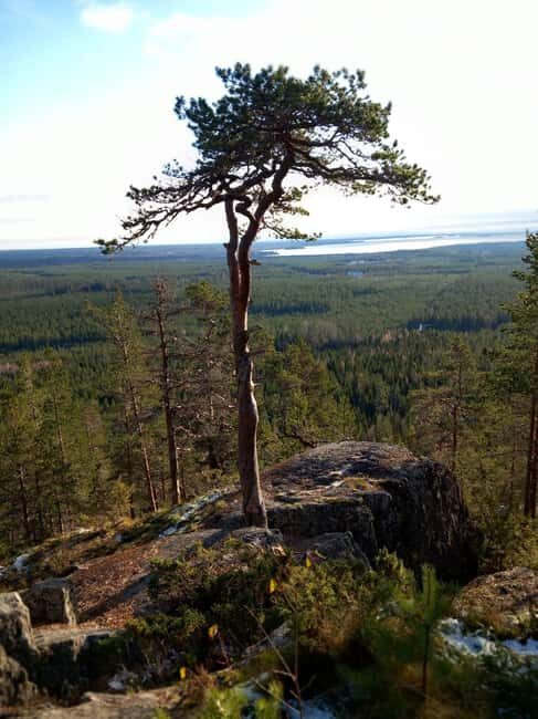 Stockholm: Overnight Camping Experience in Nature - Who Should Consider This Tour?