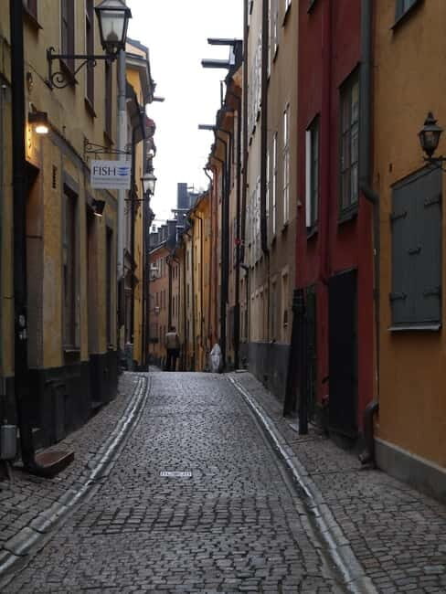 Stockholm: Private Guided Car Tour and Vasa Museum Entry - Pricing and Value