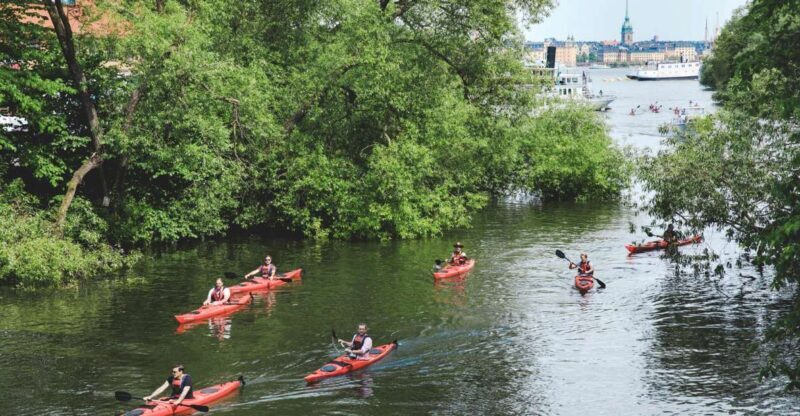 Stockholm: Self-Guided 1 or 2-Person Kayak Tour - Who Will Love This Experience?