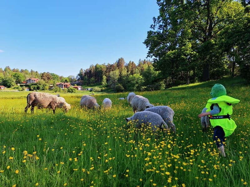 Stockholm: Self Guided Kayak Adventure in Nature Reserve - FAQ