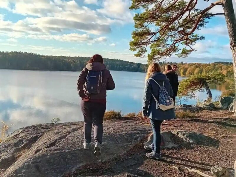 Stockholm: Sunset Hike in Tyresta National Park with Meal - Practicalities and Logistics