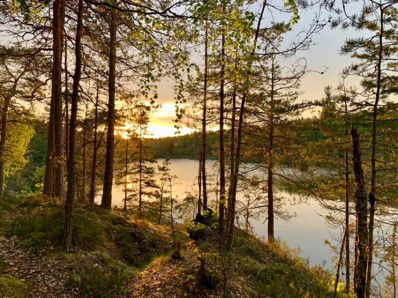 Stockholm: Sunset Hike in Tyresta National Park with Meal - Why We Love It (and Why It Might Not Be for Everyone)