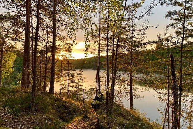 Stockholm: Sunset Hike in Tyresta National Park with Meal - What’s Included and What’s Not
