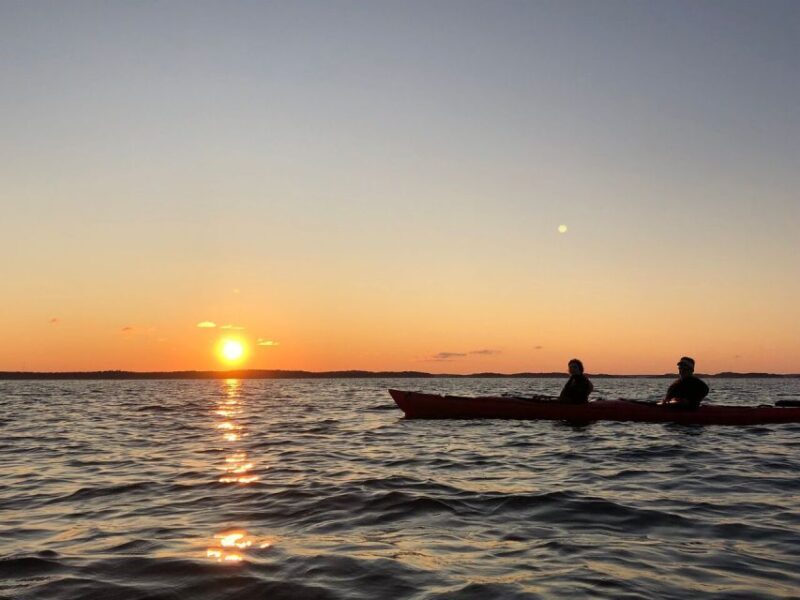 Stockholm: Sunset Kayak Tour in the Archipelago + Fika - The Bottom Line