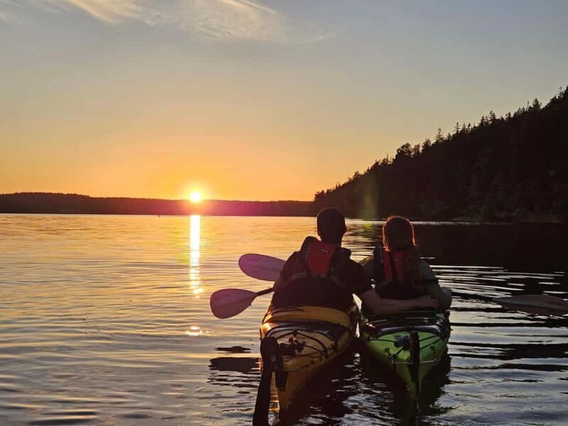 Stockholm: Sunset Kayak Tour on Lake Mälaren with Tea & Cake - An Honest Look at the Experience