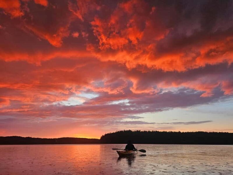 Stockholm: Sunset Kayak Tour on Lake Mälaren with Tea & Cake - The Sunset and Wildlife