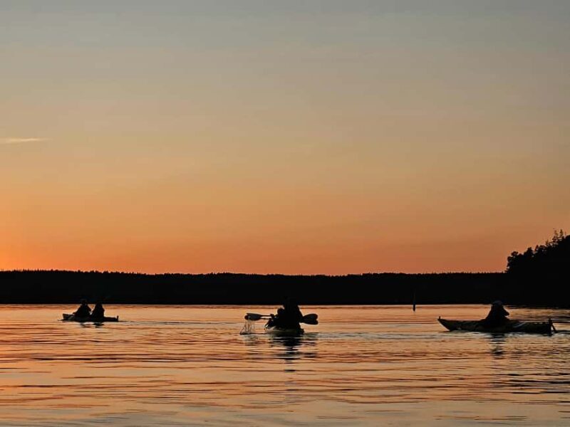 Stockholm: Sunset Kayak Tour on Lake Mälaren with Tea & Cake - Who Is This Tour Best For?
