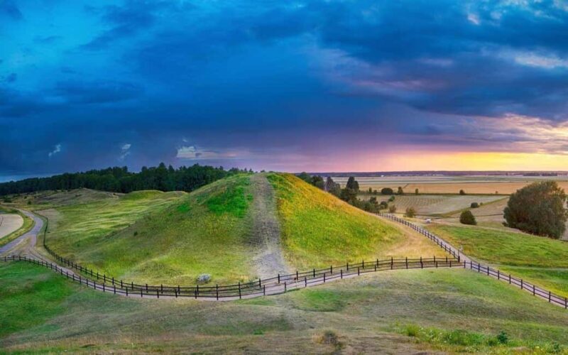 Stockholm: Uppsala Half-Day Swedish Oxford & Cathedral Tour - A Closer Look at the Tour Experience