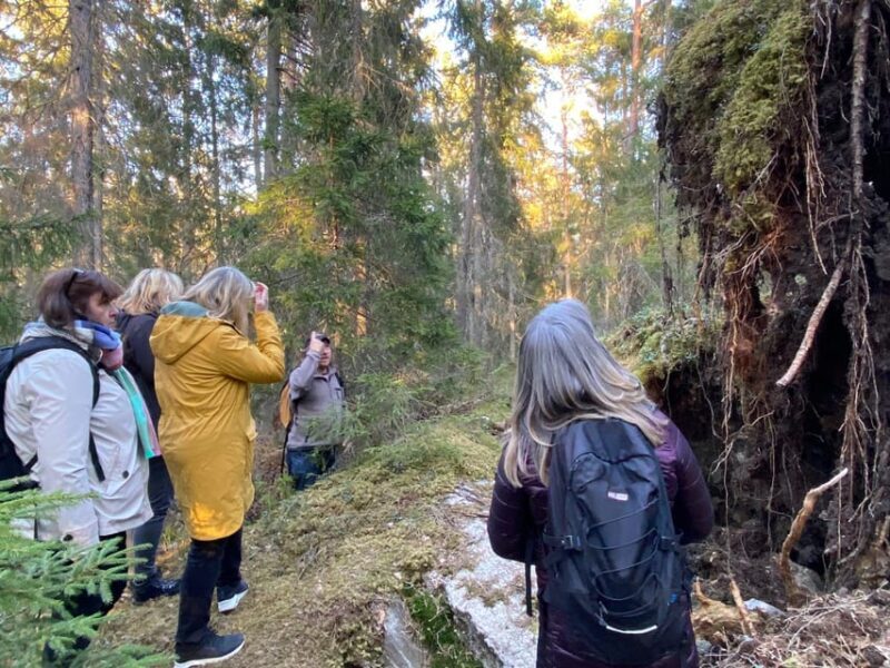 Stockholm: Wildlife Tour With Dinner and Short Hike - Final Thoughts