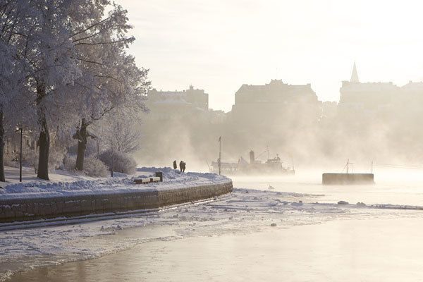 Stockholm: Winter Boat Tour with Guide - Why This Tour Stands Out