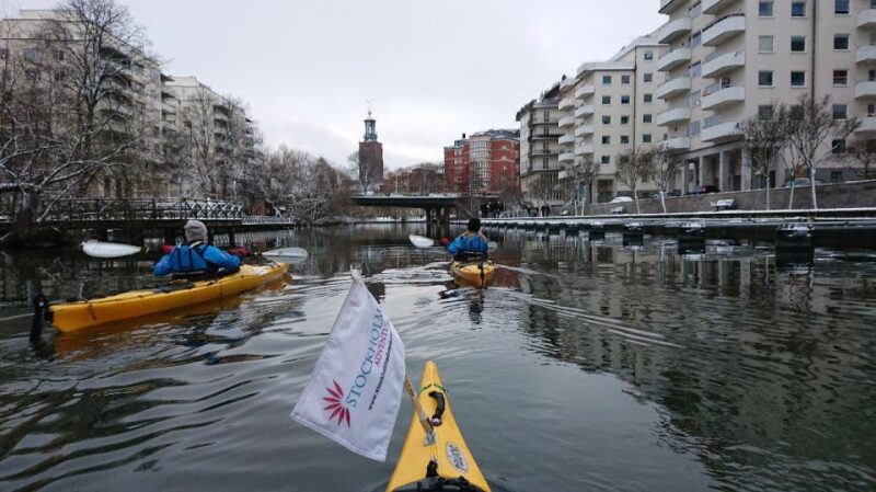 Stockholm: Winter City Kayaking Tour - Price and Value