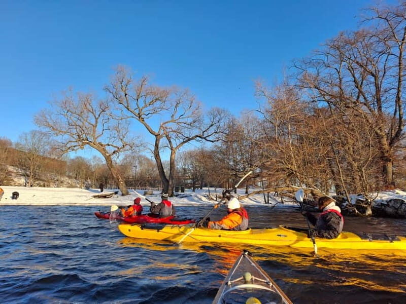 Stockholm: Winter Kayaking Tour through the City Centre - What to Expect from the Stockholm Winter Kayaking Tour