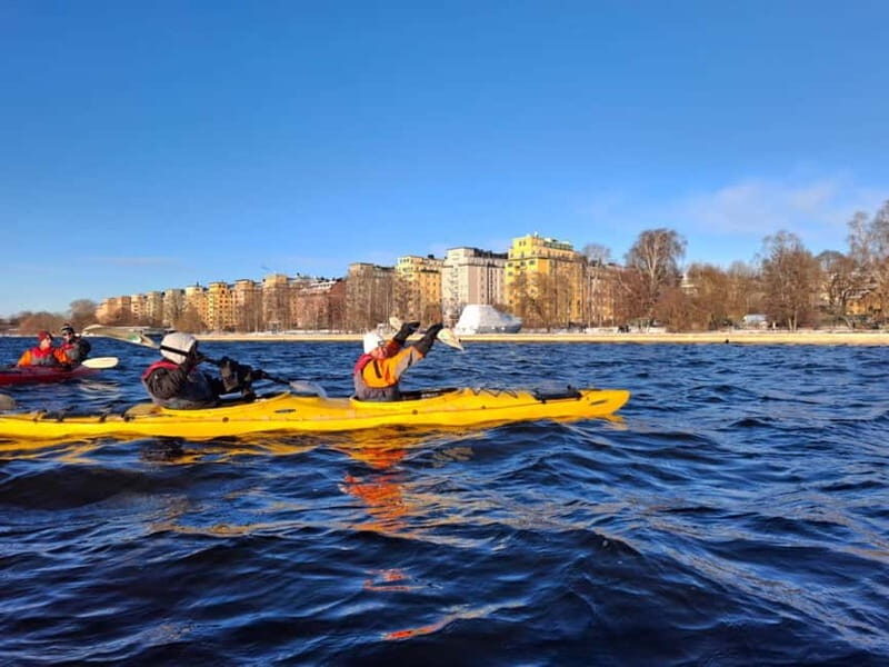 Stockholm: Winter Kayaking Tour through the City Centre - The Cost and Value