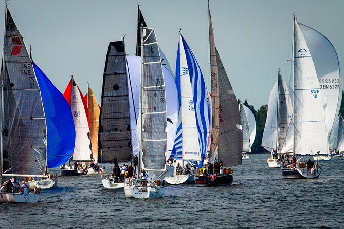 Stockholms Splendor: A 6-Hour Walk Through Culture & History - Pricing and Value