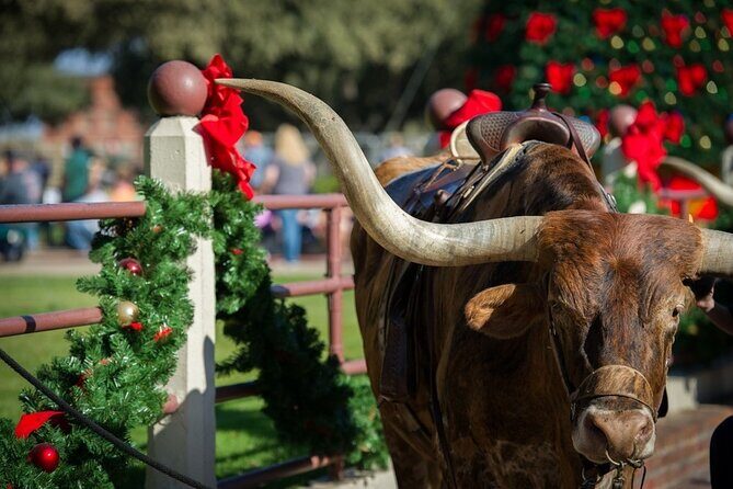 Stockyards Holiday Food & Culture Tour in Forth Worth - Key Points