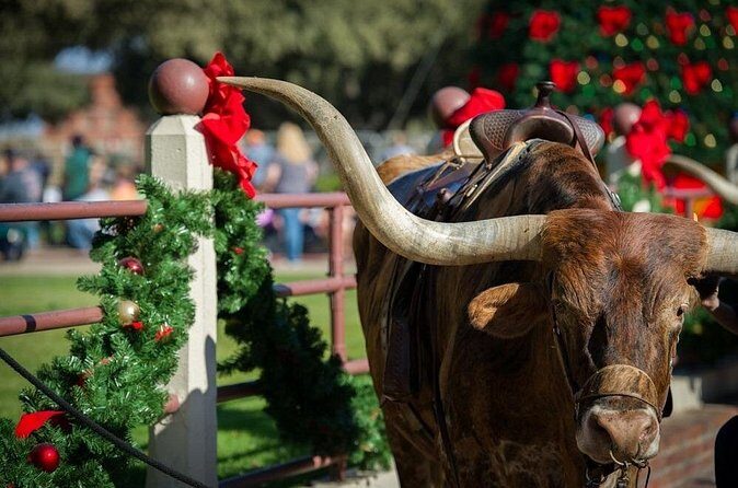 Stockyards Holiday Food & Culture Tour in Forth Worth - Who Should Consider This Tour?