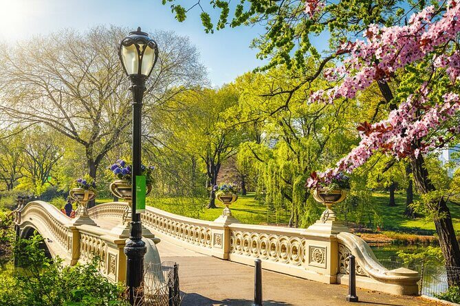 Stolen Archives: Self-Guided Mystery Adventure in Central Park - Final Thoughts