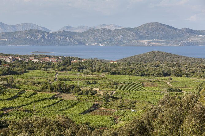 Ston and Peljesac with Wine Tasting Private Tour - FAQs