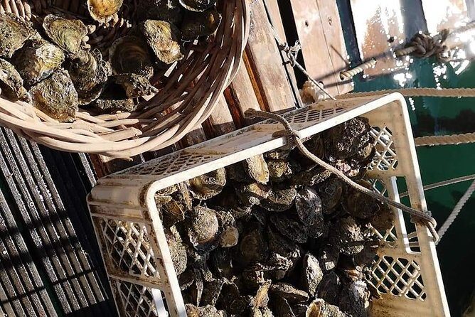 Ston Gastro Tour - Who Should Consider This Tour?