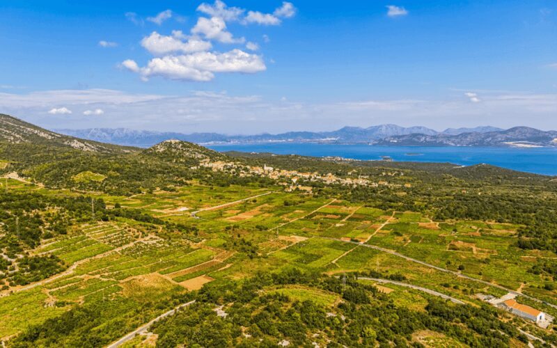 Ston, Peljesac and Korcula Winetasting Tour - Who Is This Tour Best For?