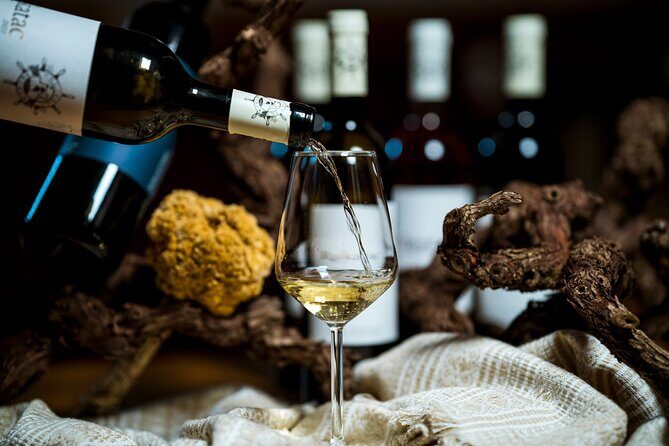 Ston Seafood & Peljea Wine Boat Tour with Oysters and Mussels - A Deep Dive into the Experience