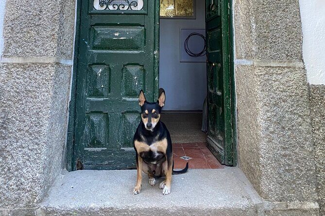 Stone Carving in Cercedilla/Madrid - Who Should Consider This Tour?
