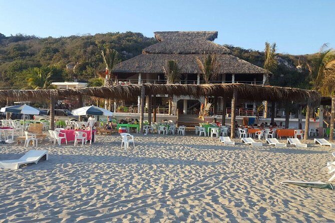 Stone Island Beach Getaway - What to Expect from the Tour