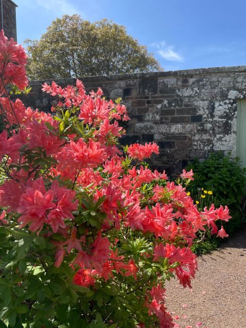 Stone & Story: Rosslyn Chapel & Melrose Abbey Day Trip - What to Expect and Practical Tips