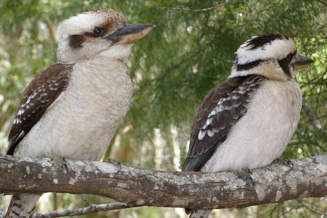 Stradbroke Island 4WD Day Trip from Brisbane - What the Tour Offers