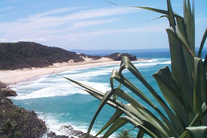 Stradbroke Island 4WD Day Trip from Brisbane - Pricing and Overall Value