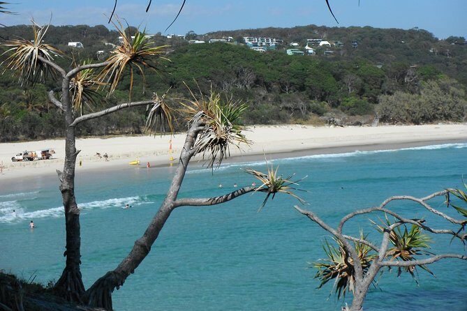 Stradbroke Island 4WD Day Trip from Brisbane - Who Will Love This Tour?