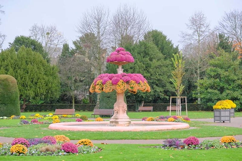 Strasbourg: 1.5-Hour Guided Segway Tour - Why Choose the Strasbourg Segway Tour?