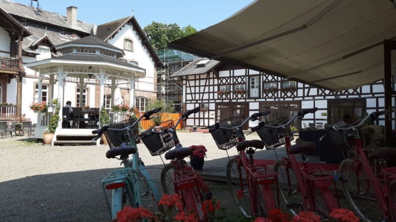 Strasbourg: 1-Day Bike Rental - The Experience in Detail