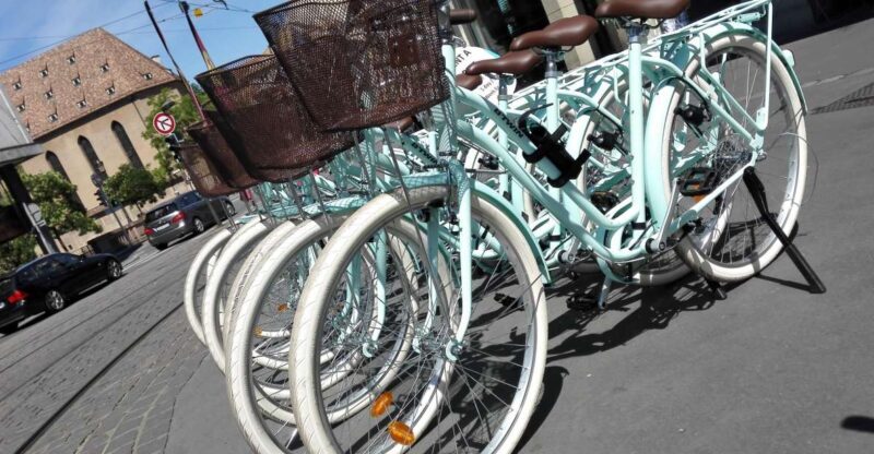Strasbourg: 1-Day Bike Rental - Who Would Love This?