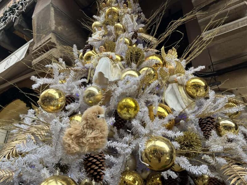 Strasbourg: Christmas Walking Tour with Mulled Wine - An In-Depth Look at the Tour