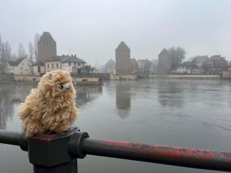 Strasbourg: Colmar, Villages & Castle Private Day Trip - What Travelers Say