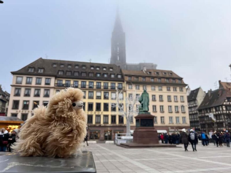 Strasbourg: Colmar, Villages & Castle Private Day Trip - Final Thoughts