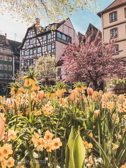 Strasbourg: Gastronomic and Walking Tour in the Old Town - How Does It Compare?