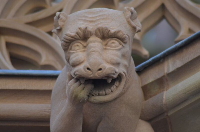 Strasbourgs Art and Culture revealed by a Local - Authentic Reviews and What Travelers Say