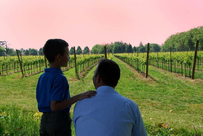 Strassoldo: Winery Tour and Tasting with the Owner - Is It Worth the Price?