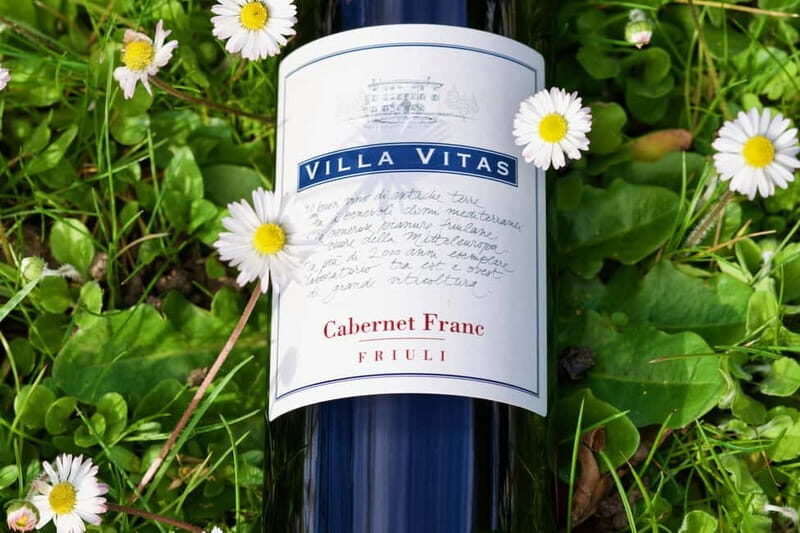 Strassoldo: Winery Tour and Tasting with the Owner - Who Should Consider This Tour?