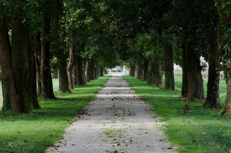 Strassoldo: Winery Tour and Tasting with the Owner - FAQs