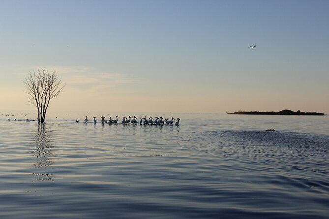 Strawberry Islands Scenic Boat Tour and Historic Cottage Row - Exploring the Strawberry Islands Scenic Boat Tour and Cottage Row