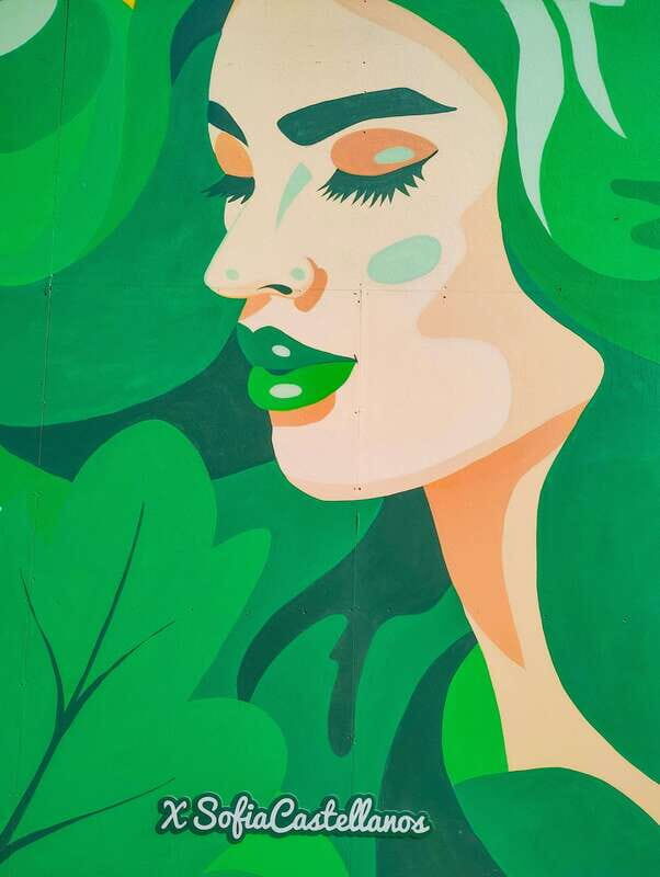 Street Art Tour: the Hidden Face of Mexico City - Who Is This Tour Best For?